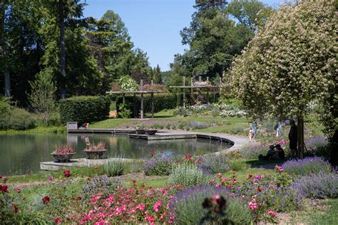  Le Jardin de la Rose, un paradis floral à Yport!